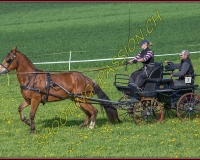 1POSIEUX 0196